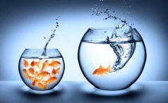 featured-perfect-place